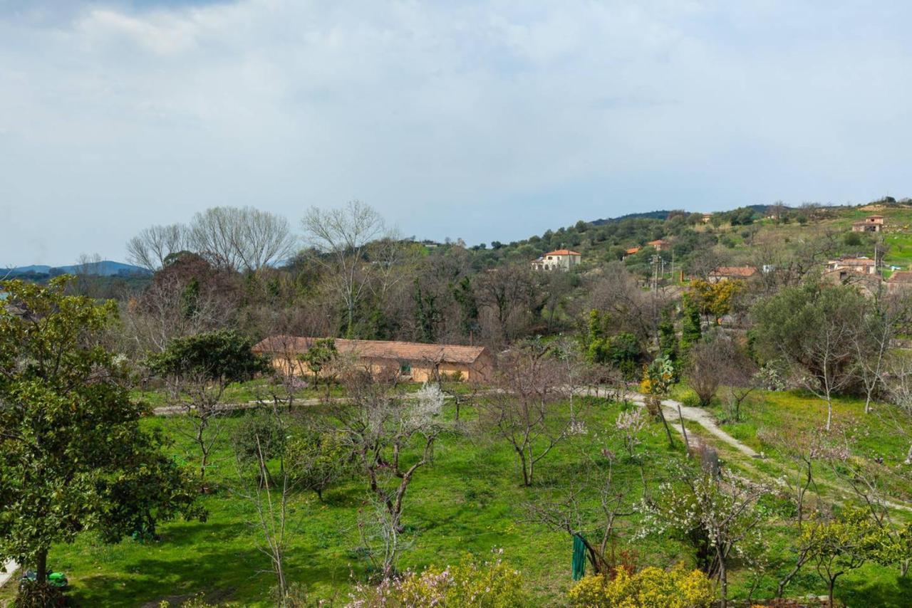 Spacious Apartment In Ceraso With Mountain View Exterior photo